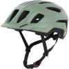 ALPINA Sports PARANUS MIPS willow-green matt 52-56